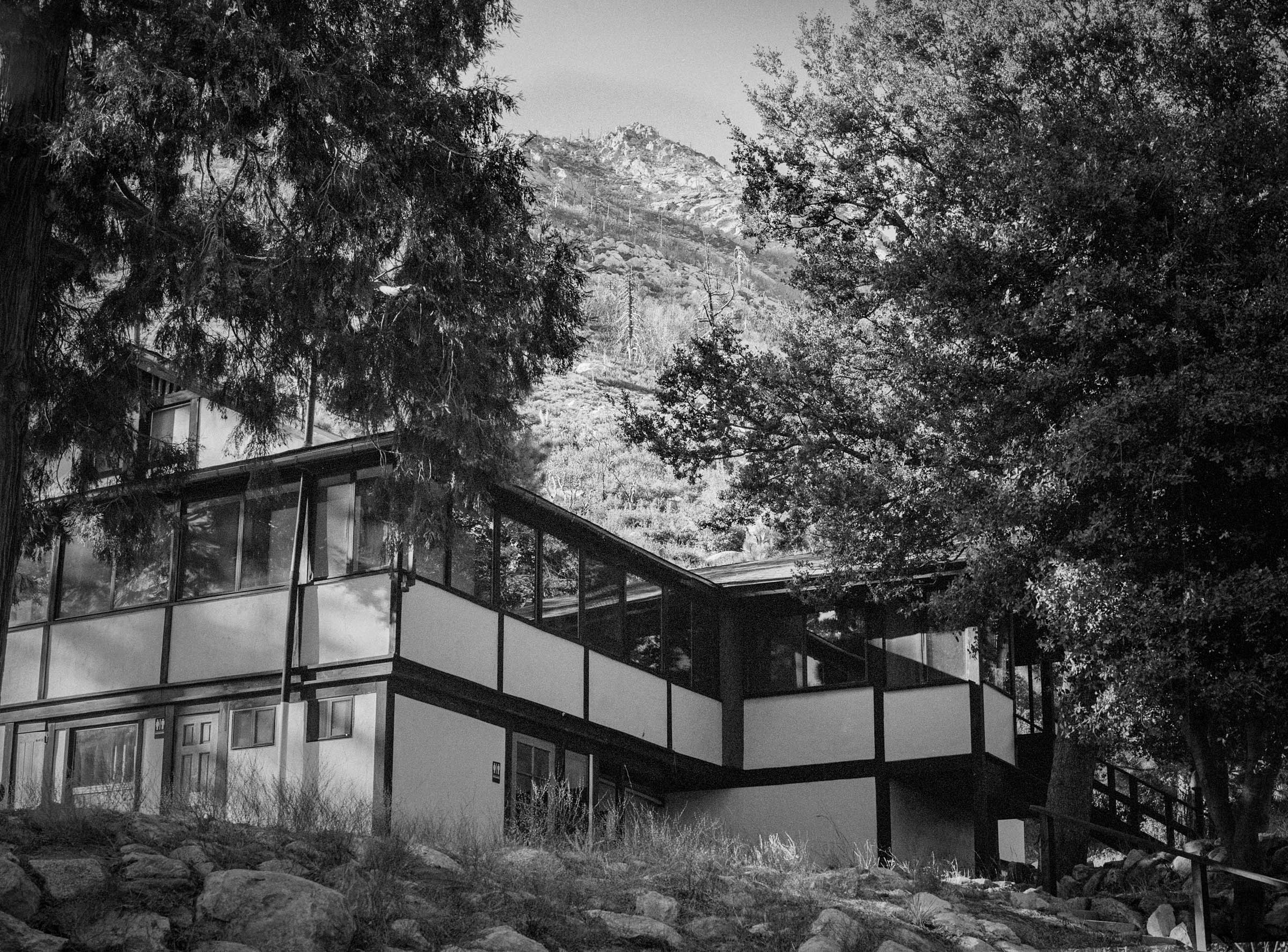 Black and white photo of Yokoji Zen Mountain Center, a Japanese-style building among pine trees, with a mountain in the background.