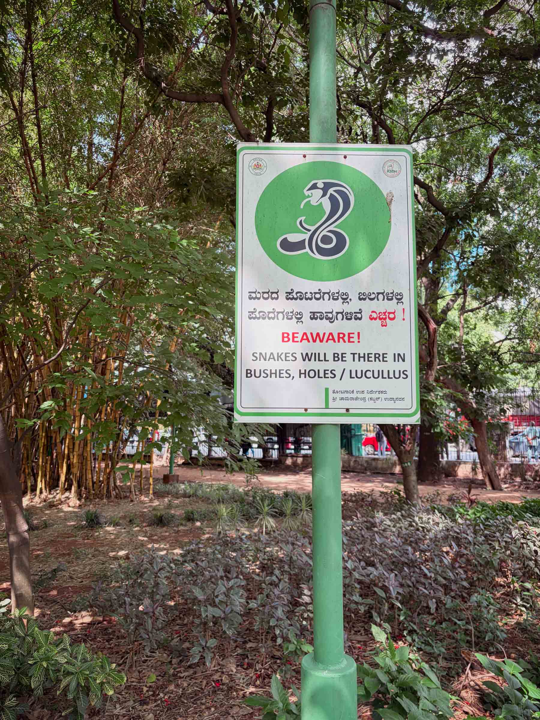 A green park sign with a cobra graphic, warning that snakes lurk in bushes, holes, and Lucullus