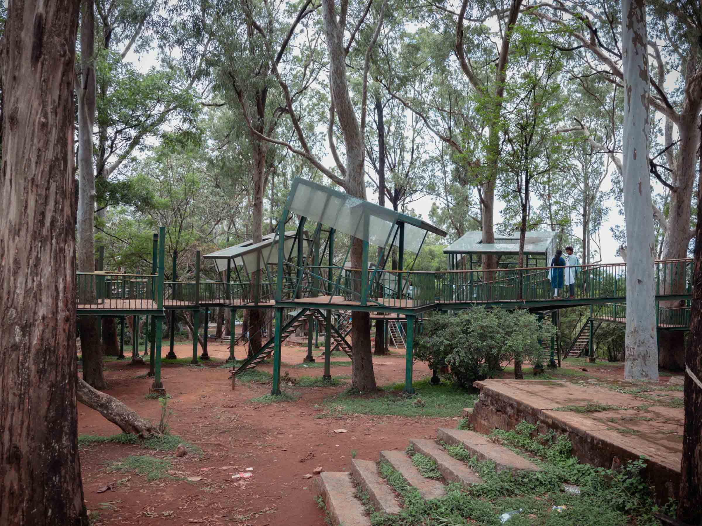 Glass-roofed metal viewing platforms built among tall trees