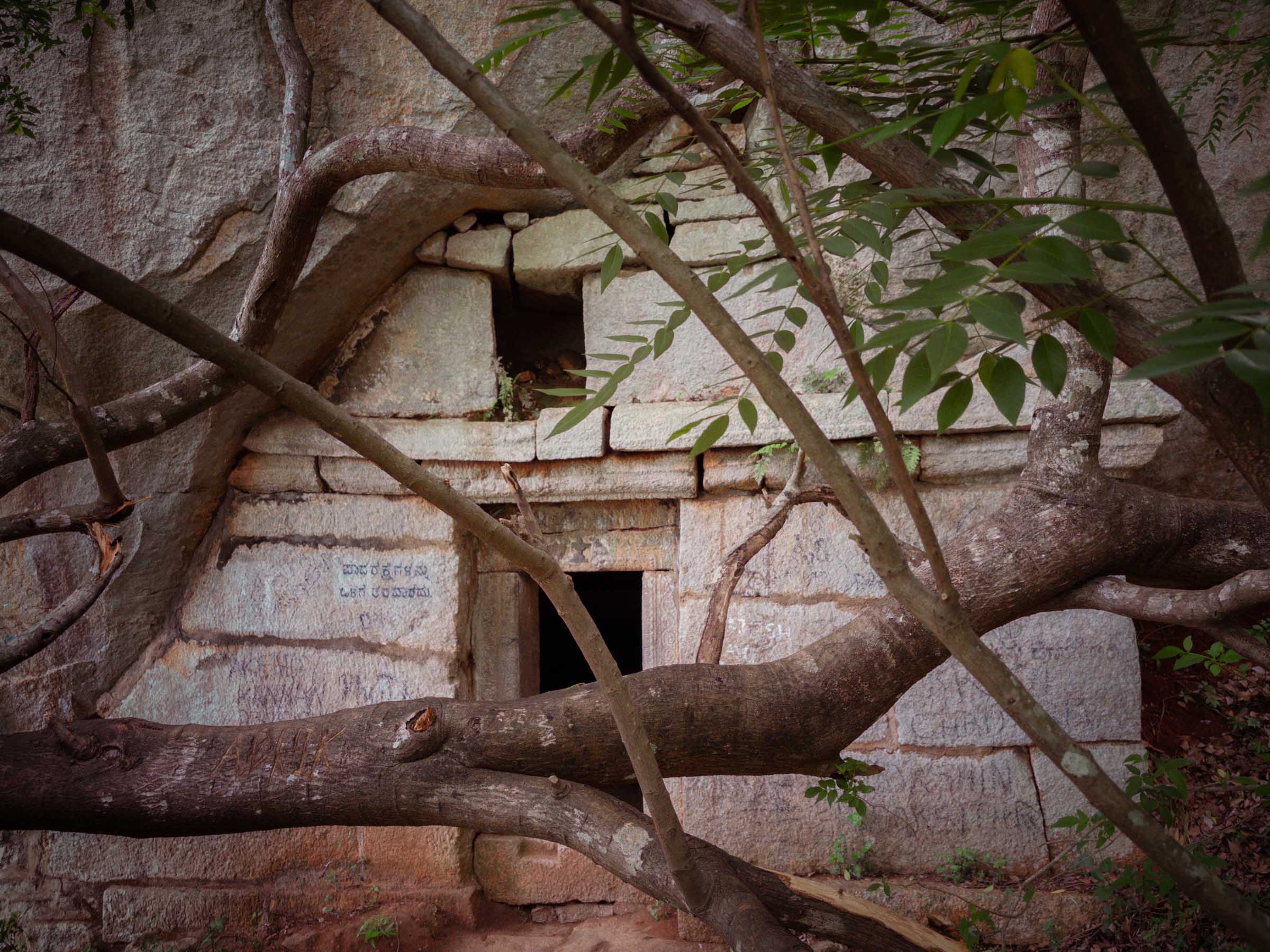 A small stone temple hewn from the rock, framed by gnarled tree branches