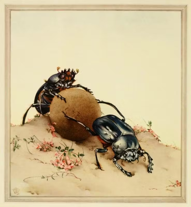 Painting of a dung beetle pushing a ball of dung while another pulls it