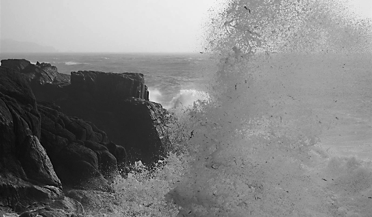 TomCorser Wild Sea Cot Valley Conwall IMG 5558