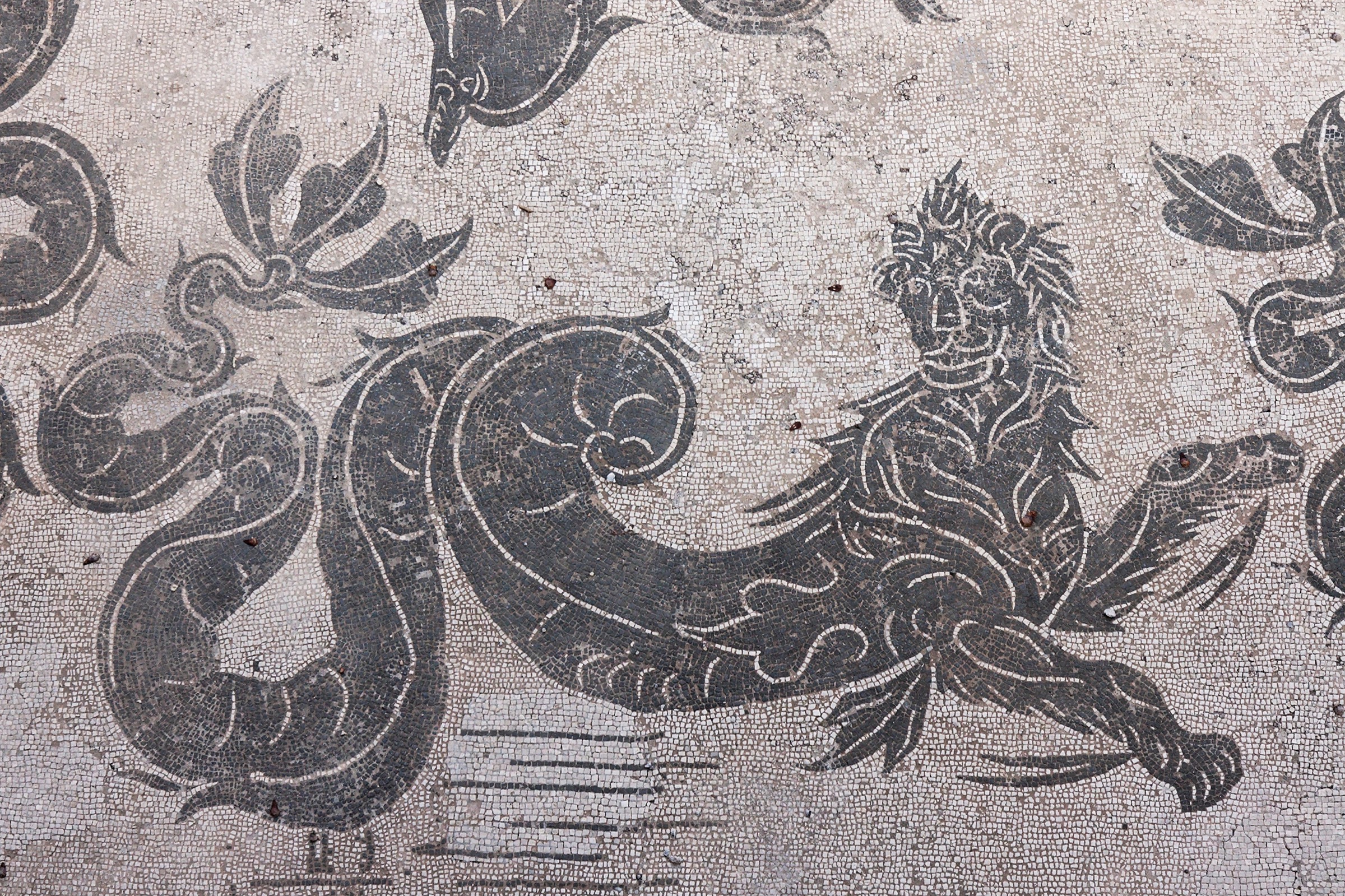 Image description: black and white mosaic of a creature with the head and paws of a lion and the lower body and tail of a snake, with three-lobed fish tail. It appears to have cartoonish ripple lines drawn with mosaic tile around its paws showing it is paddling, and lines beneath it showing forward motion.