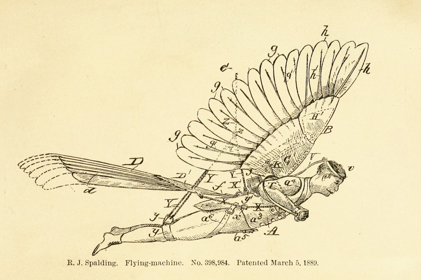 Yellowed old patent diagram of a human-powered flying machine with feathered wings and tail.