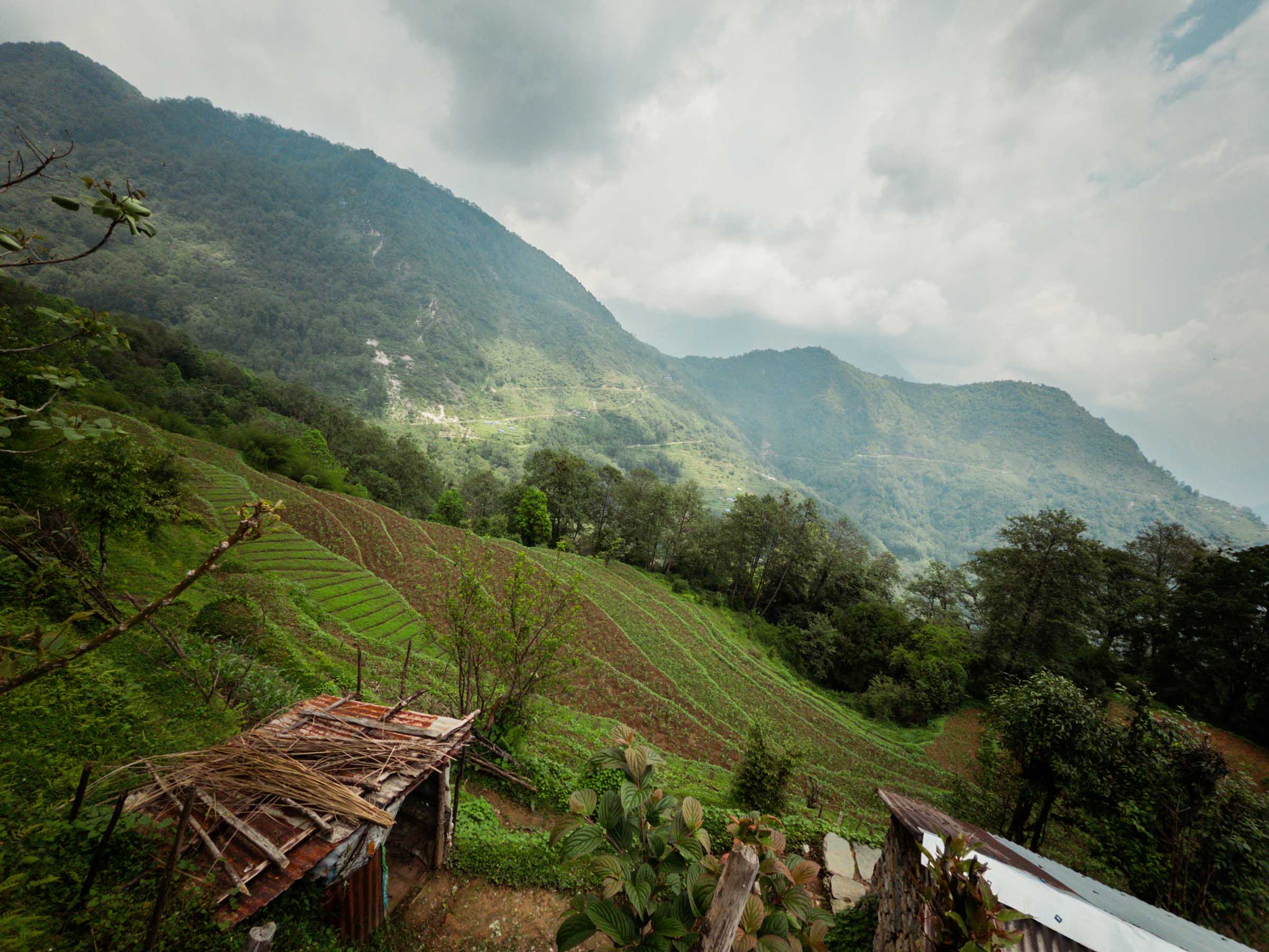 The trail to Ghandruk