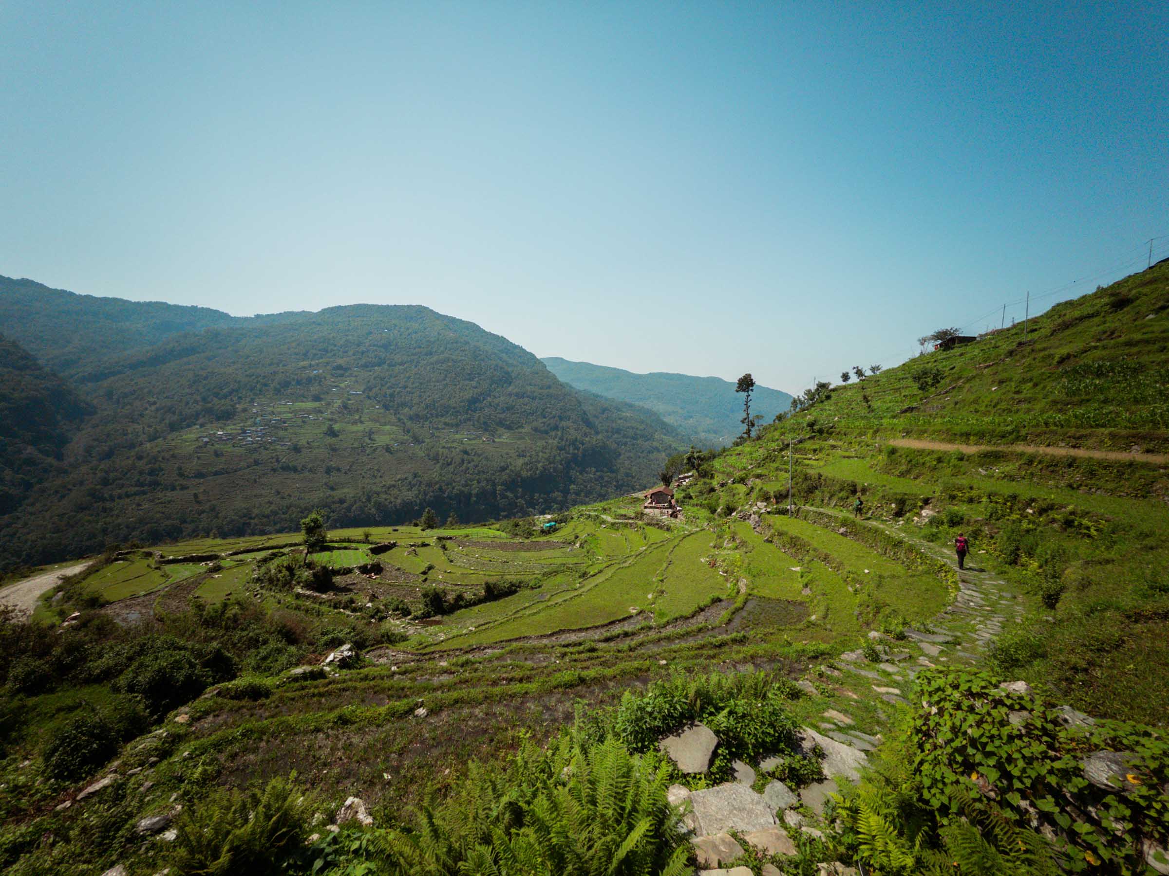 Terraced farmland