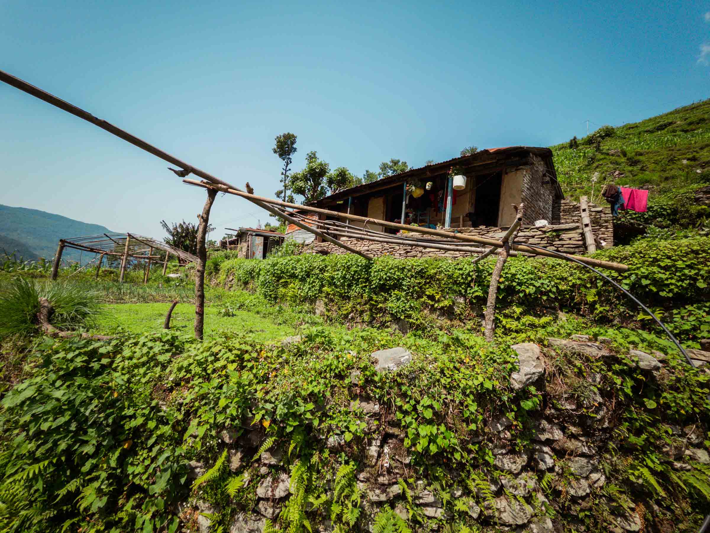 Terraced farmland