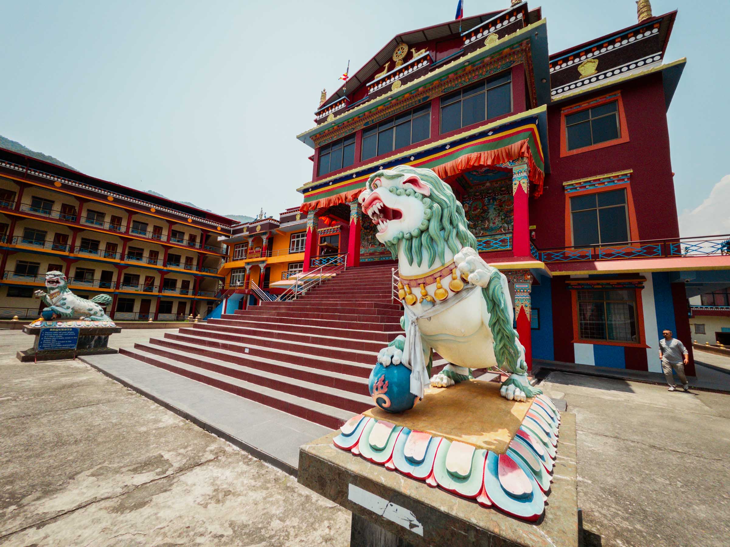 The junior abbot at Pema Ts'al Sakya Monastic Institute