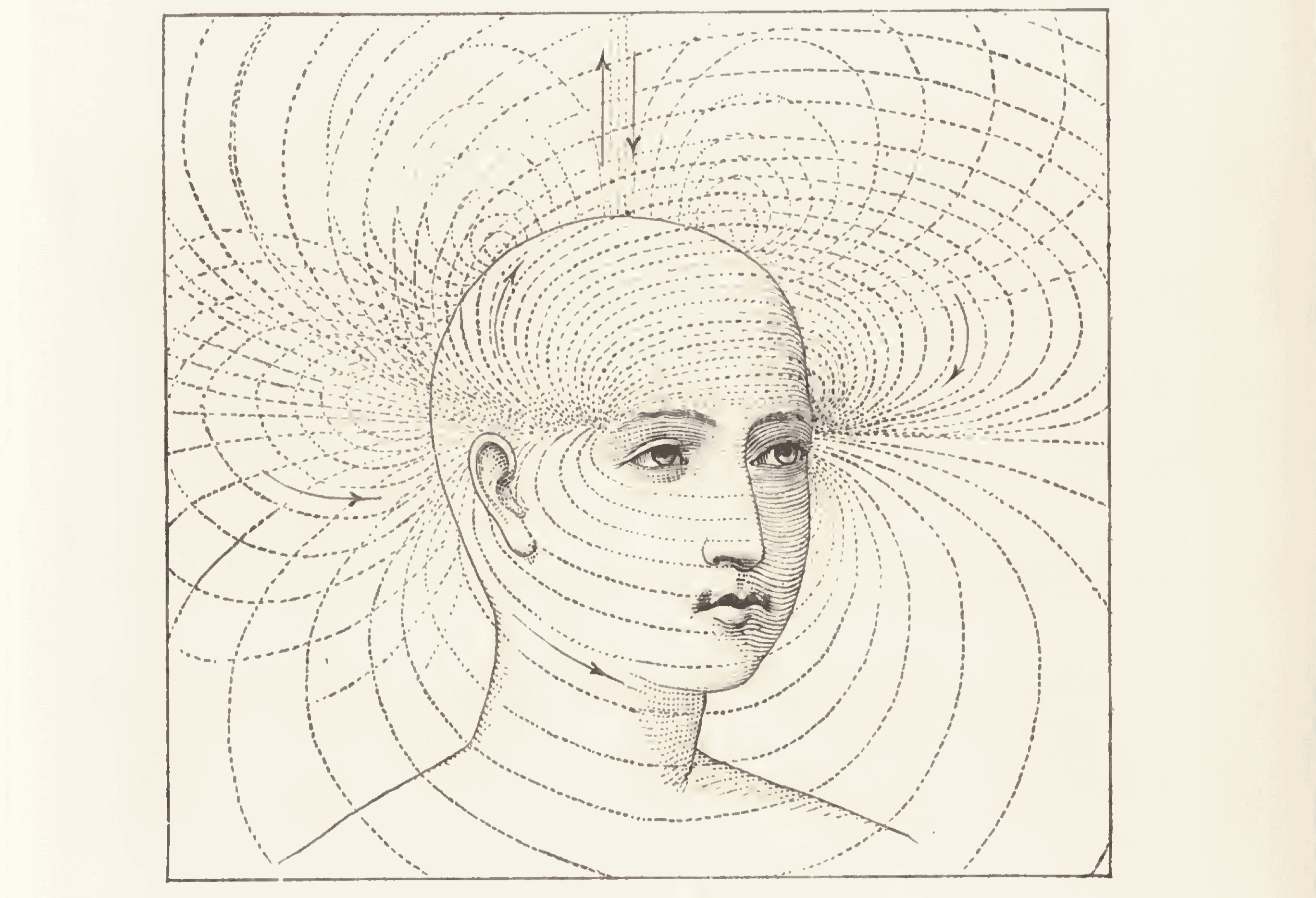 Black-and-white illustration of a person, seen from the neck up, androgynous and bald, with curved lines indicating some kind of magnetic field or lines of energy surrounding and crossing the head.