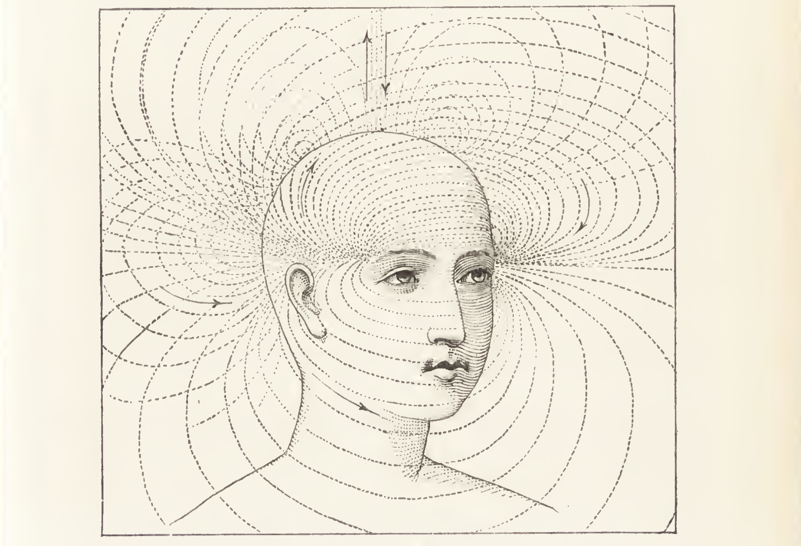 Black-and-white illustration of a person, seen from the neck up, androgynous and bald, with curved lines indicating some kind of magnetic field or lines of energy surrounding and crossing the head.